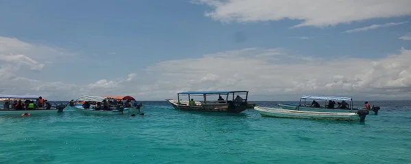 Tanzania Sharing Safaris
